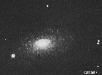 NGC5055