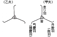 弓道