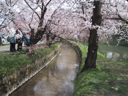 岩木川右岸用水