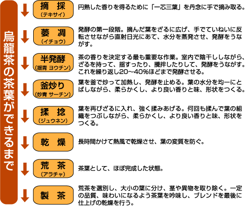 ウーロン茶の製造工程