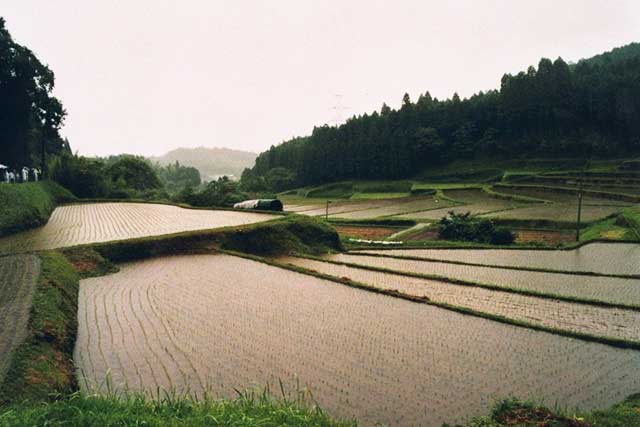 幸田