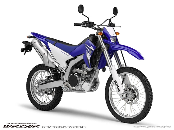 WR250X