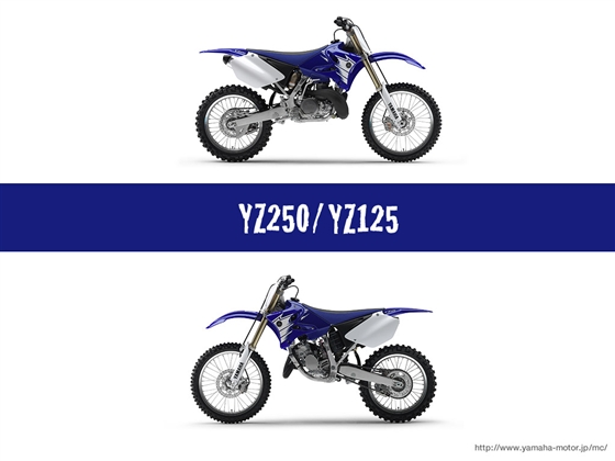 YZ250