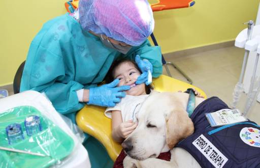 Aldo, el perro de asistencia en odontopediatría.