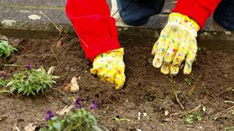 Herbstliche Beetpflege: So bereiten Sie den Boden auf den Frühling vor