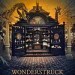 Wonderstruck