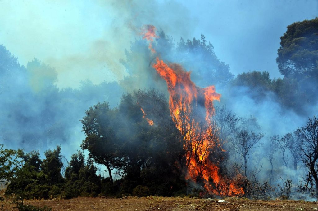 Φωτιά στην Ανδραβίδα – Επιχειρούν 30 πυροσβέστες και 7 εναέρια μεσα