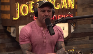 Screenshot from the Joe Rogan Experience