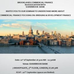 Bridging and Development Finance Seminar