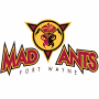 Fort Wayne Mad Ants