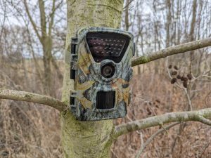 MAXDONE PH820 Wildkamera an einem Baum montiert