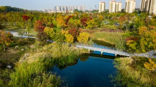 An eco park in Nanjing, China