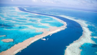 The tidal channel between Hardy and Hook reefs